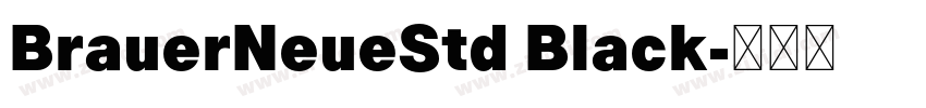 BrauerNeueStd Black字体转换